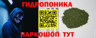 гашик Будённовск