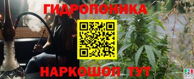 гашик Будённовск