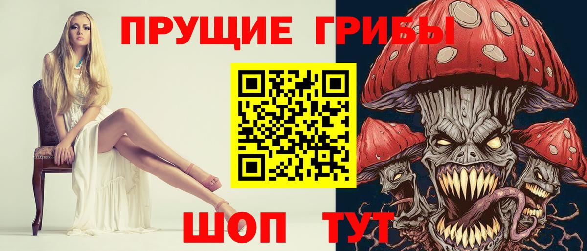 Похвистнево  Галлюциногенные грибы Cubensis  Вход с VPN 