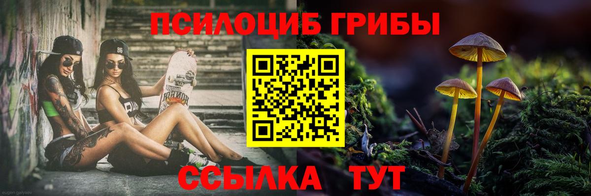 Псилоцибиновые грибы мицелий Похвистнево